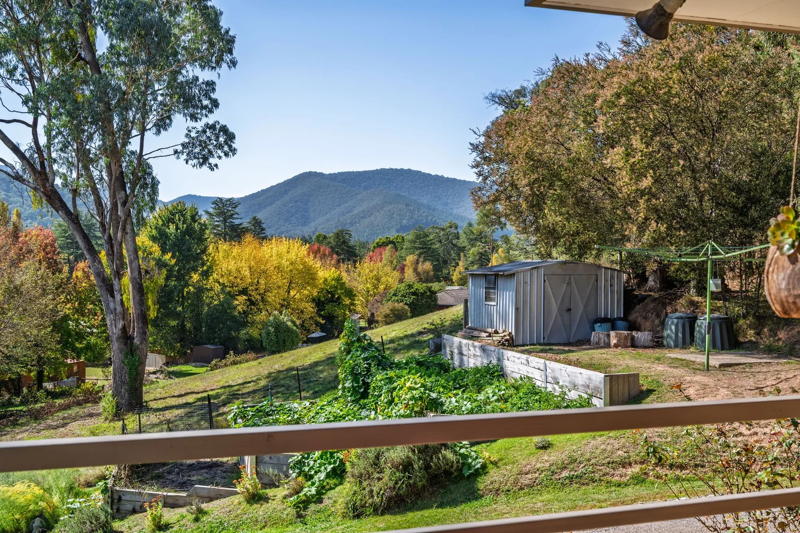 Additional image 37 of 22 Alrima Court, Bright VIC 3741