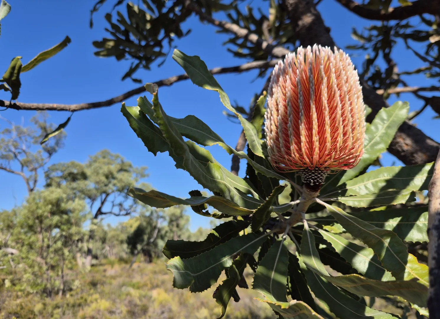 Additional image 2 of 777 Teatree Road, Bindoon WA 6502