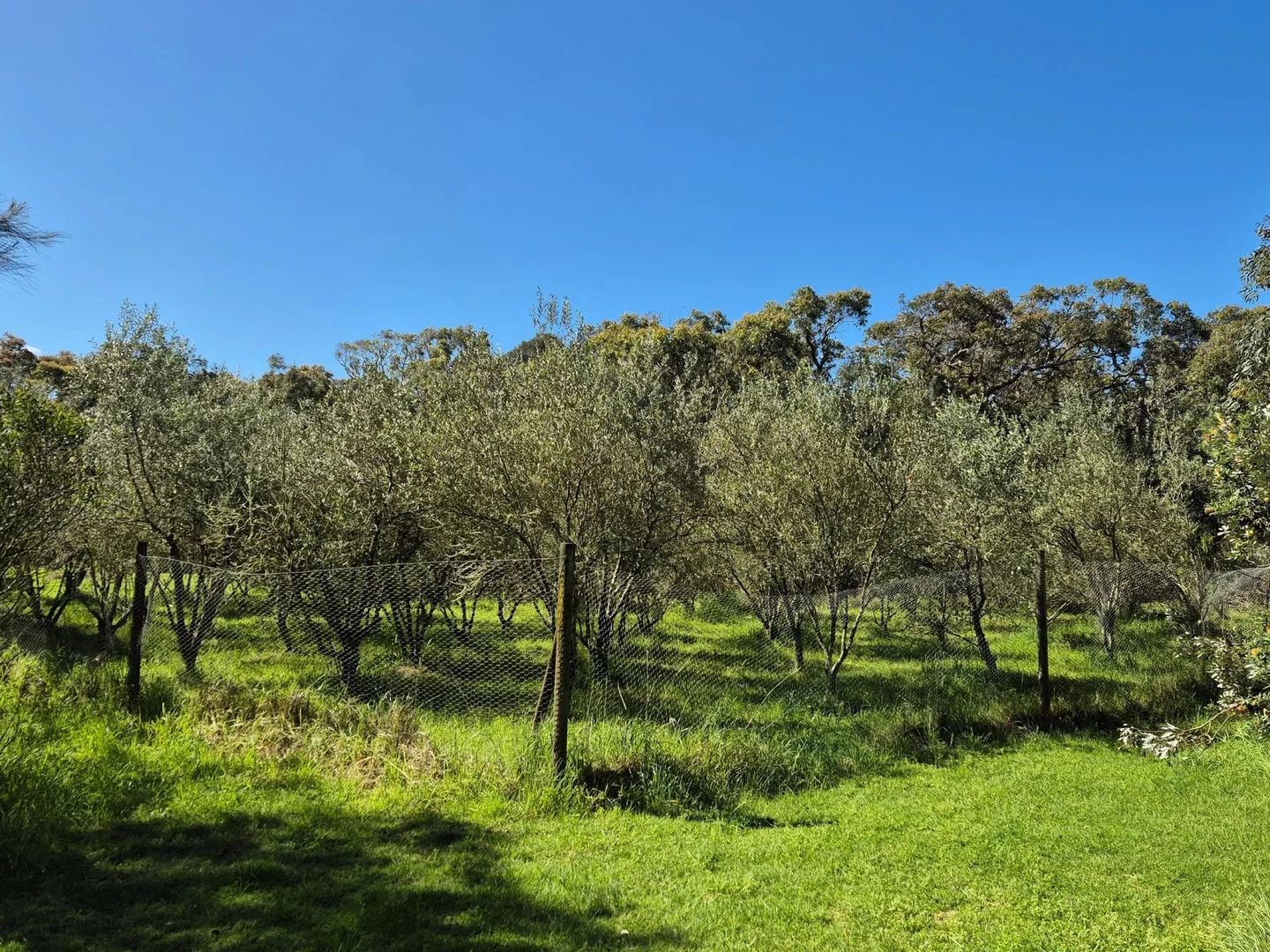 Additional image 21 of 417 McBurnie and Boags Road, Tarwin Lower VIC 3956