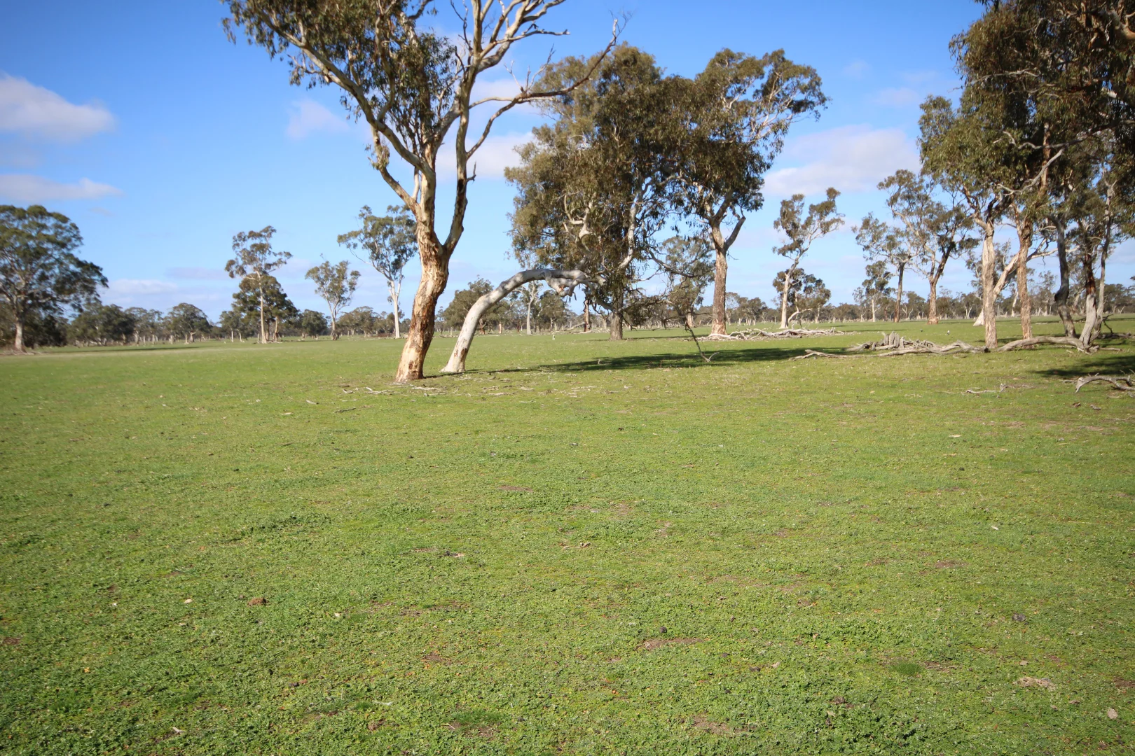 Additional image 25 of 202 Malones Road, Naracoorte SA 5271
