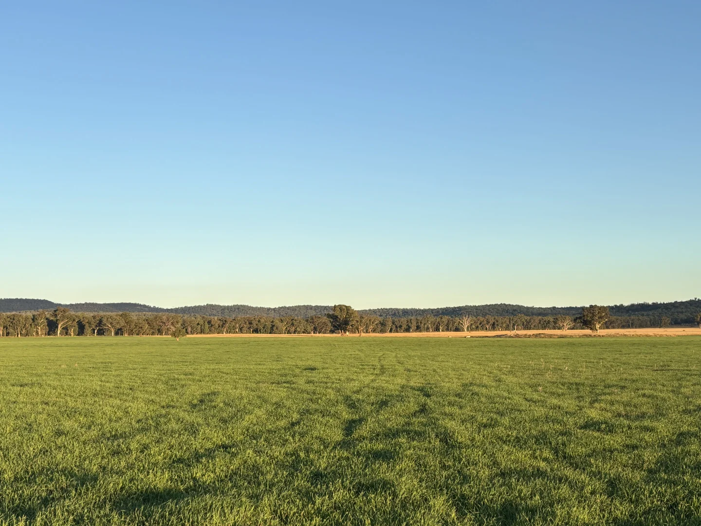 Additional image 17 of 2824 Neilrex Road, Coolah NSW 2843