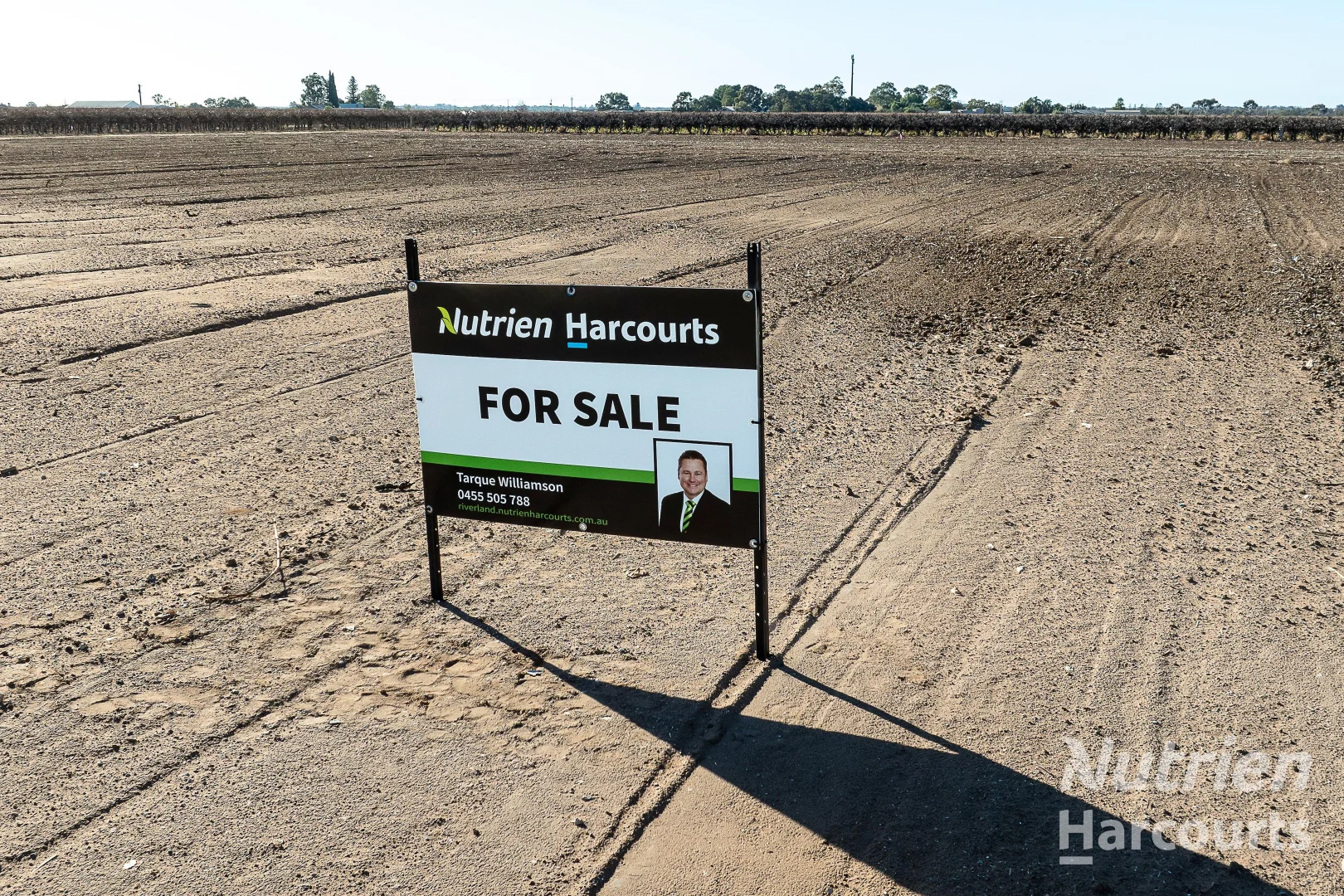 Additional image 4 of Lot 5, 6, 7 & 8 Arumpo Street, Renmark SA 5341