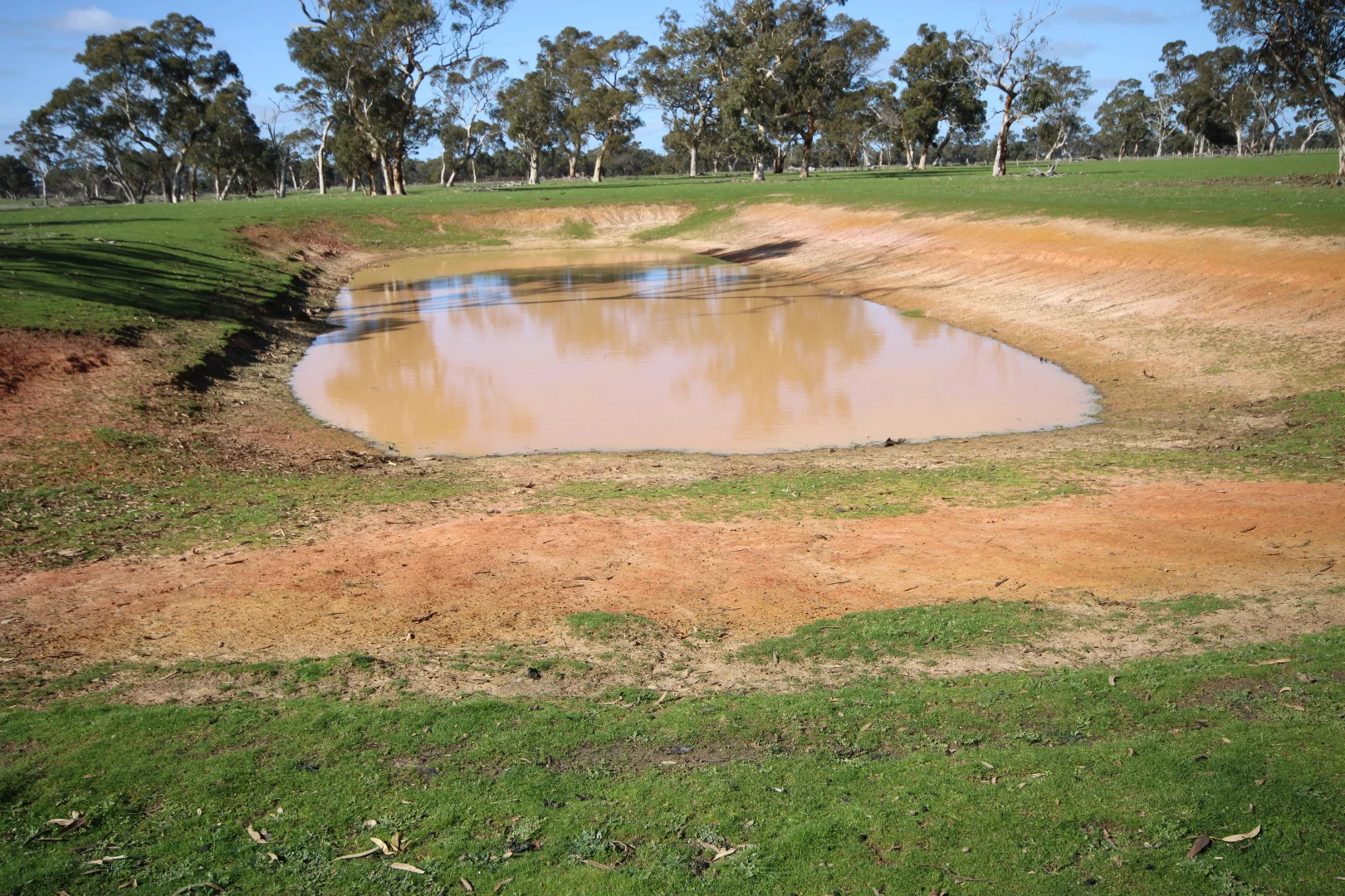 Additional image 16 of 202 Malones Road, Naracoorte SA 5271