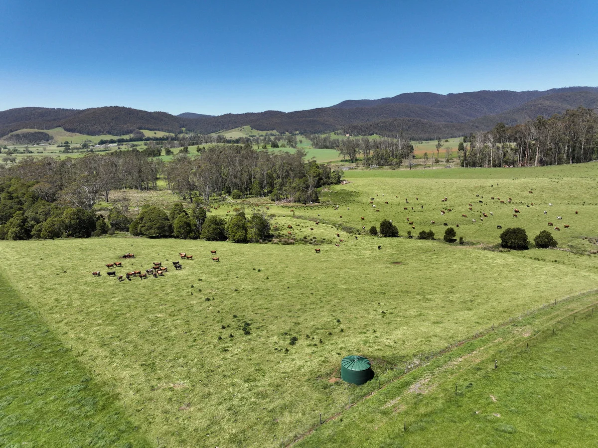 Additional image 24 of 569 St Columba Falls Road, Pyengana TAS 7216