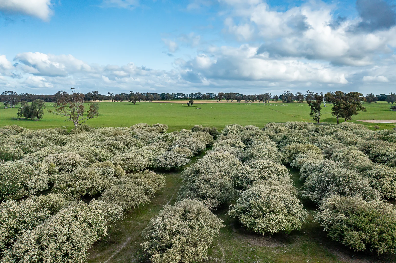 Additional image 5 of 184 Lin Dixons Road, Ullswater VIC 3318