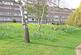 Additional image 7 of Fair Acres, Bromley, BR2