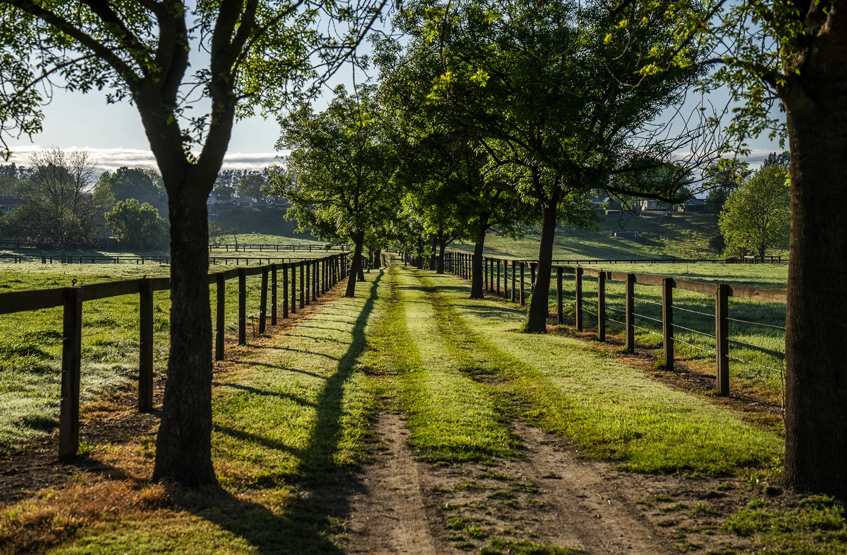 Additional image 18 of 134 Bathurst Street, Pitt Town NSW 2756