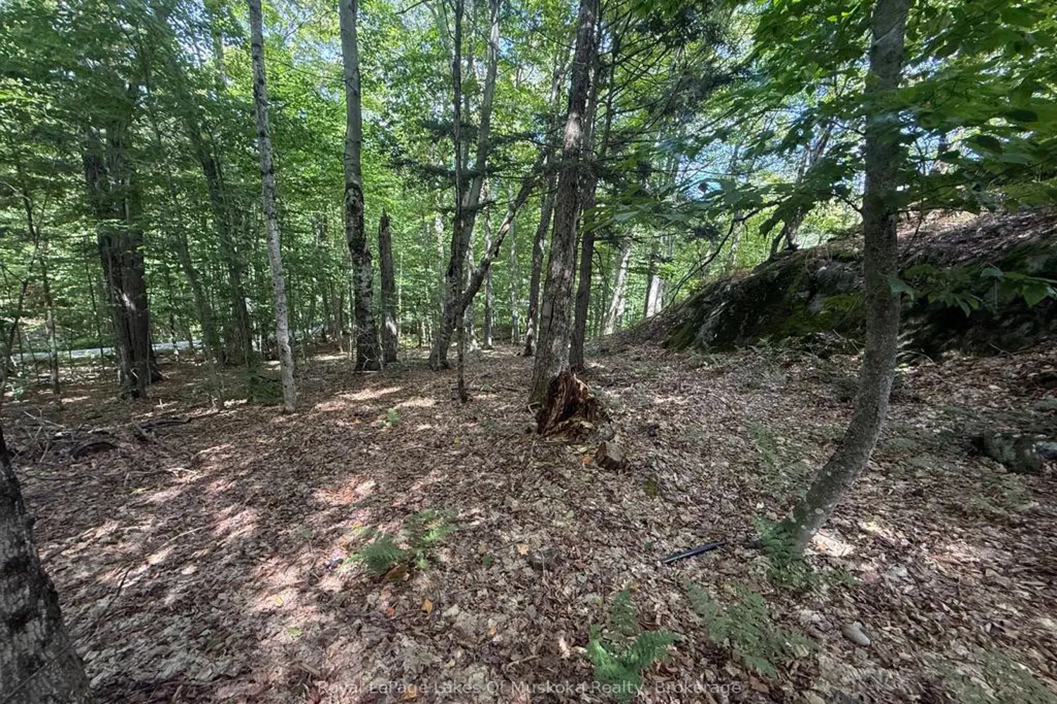 Additional image 10 of Lot 85 Brennan Circle