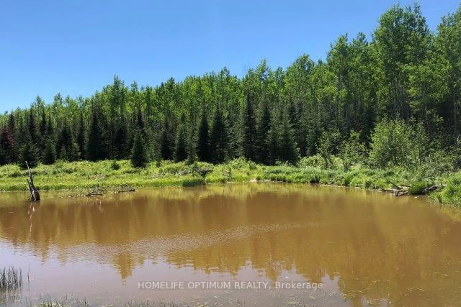 Additional image 5 of 38.24 Acres - Pcl 24640 N/A