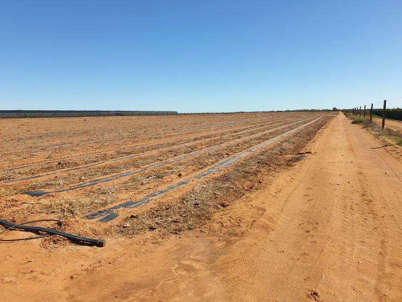 Additional image 14 of 138 North River Road, North Plantations WA 6701