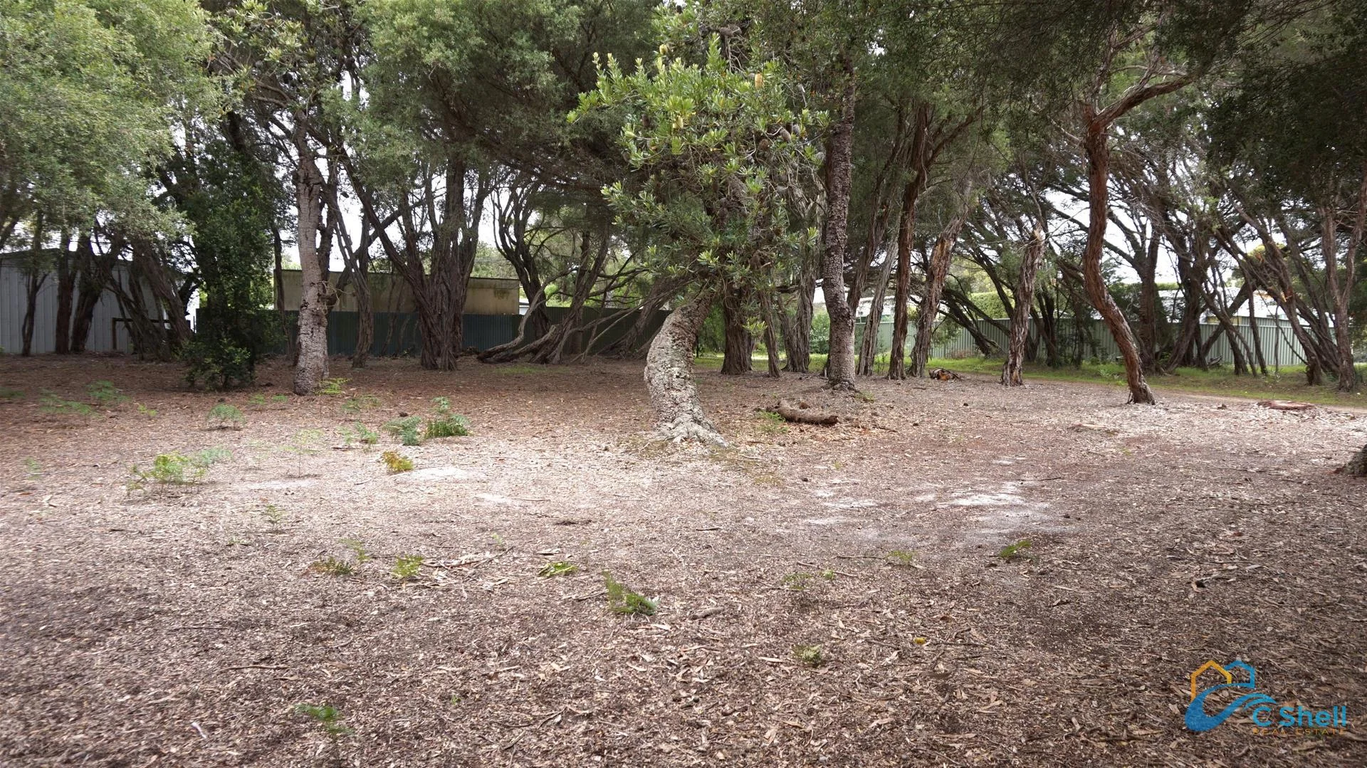 27 Carroll Street, Loch Sport VIC 3851