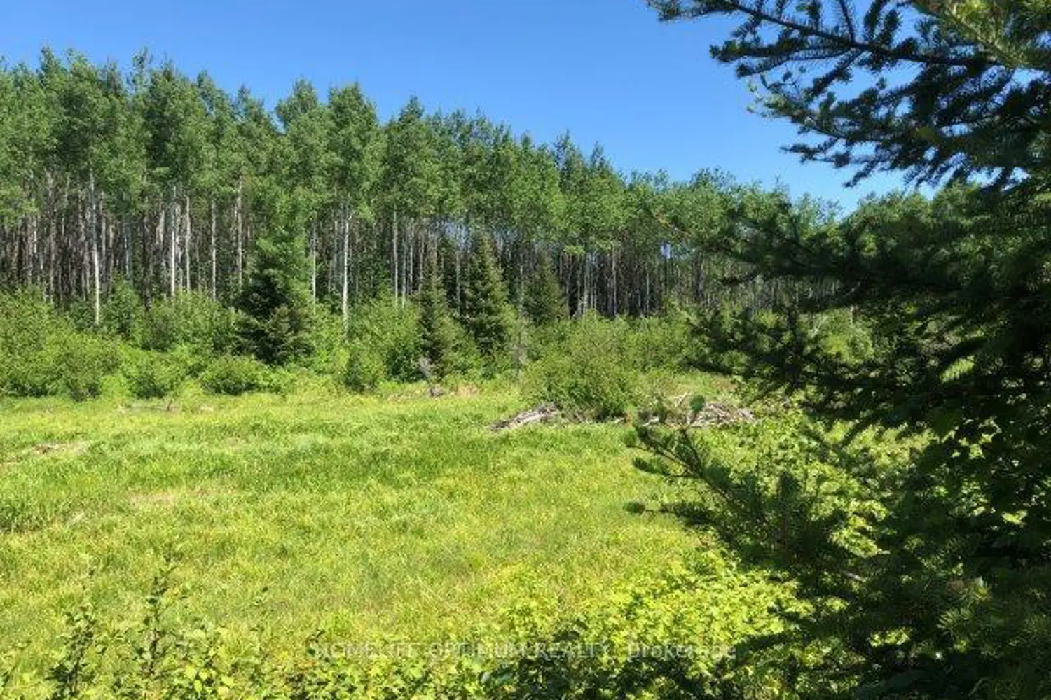 38.24 Acres - Pcl 24640 N/A