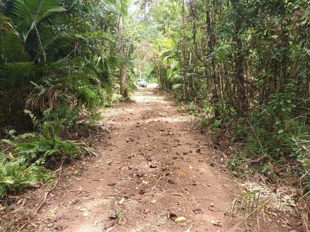Additional image 6 of Lot 81 Cape Tribulation Road, DIWAN,, Daintree QLD 4873