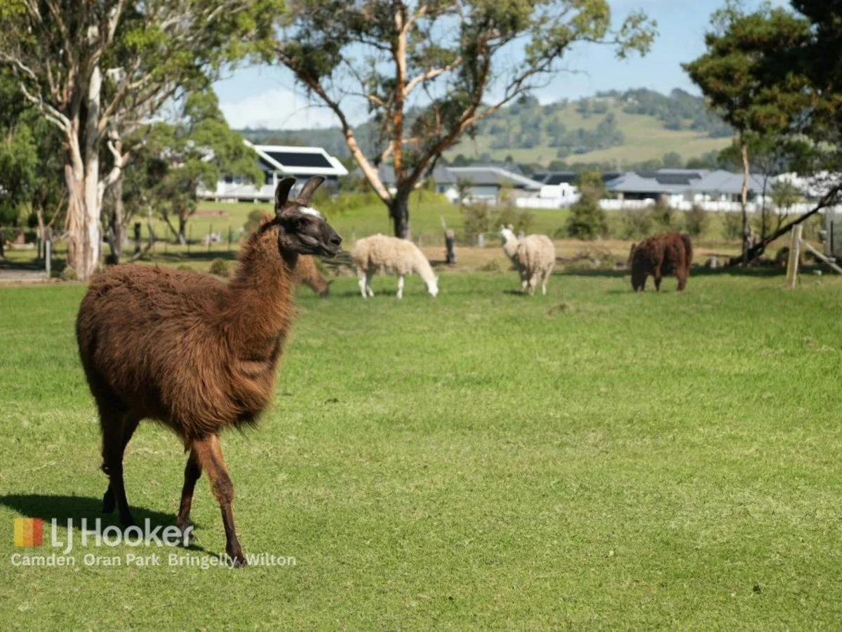 Additional image 4 of 45 Inkerman Road, Balaclava NSW 2575