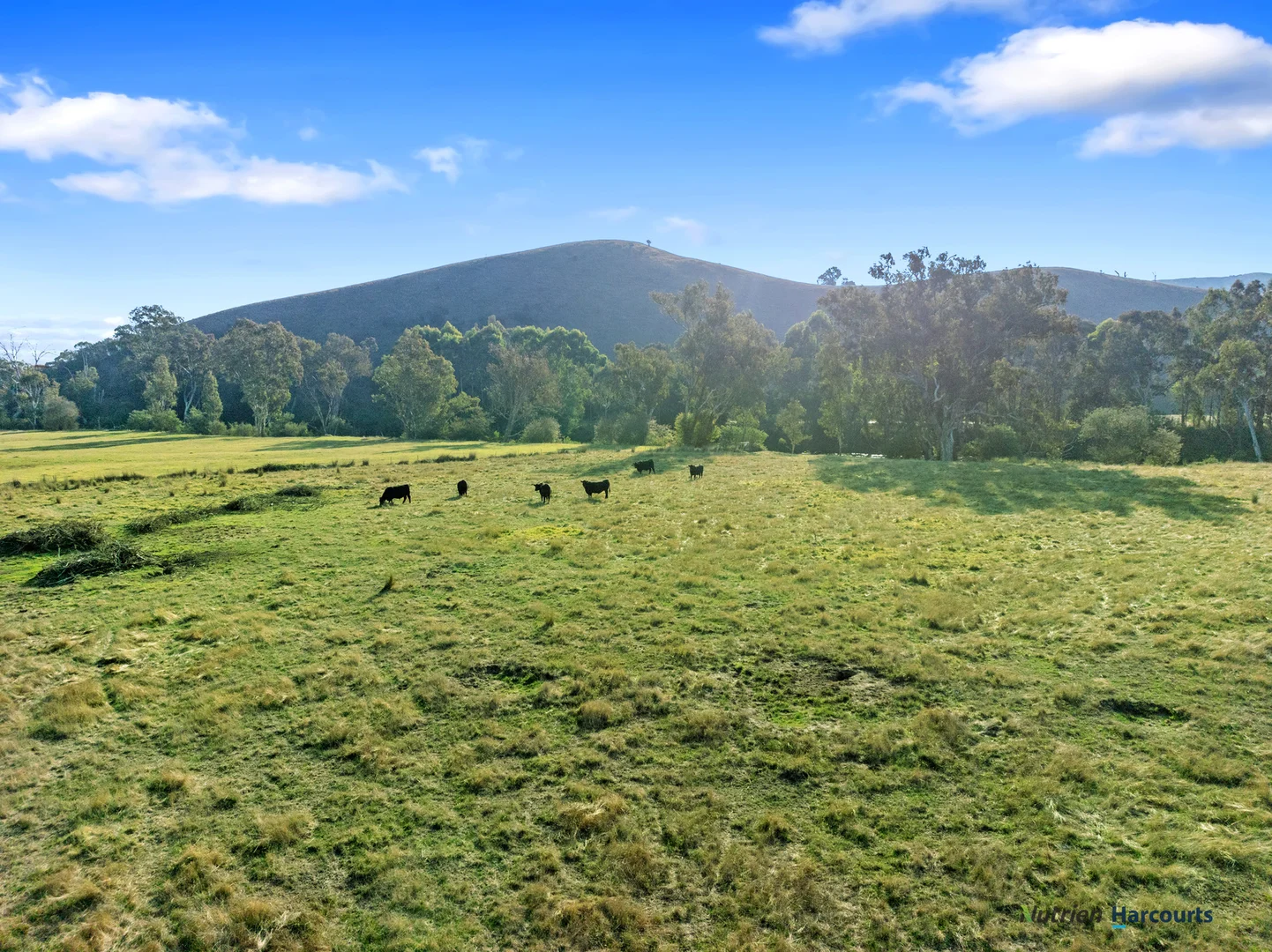 Additional image 23 of 614 Goulburn Valley Highway, Thornton VIC 3712