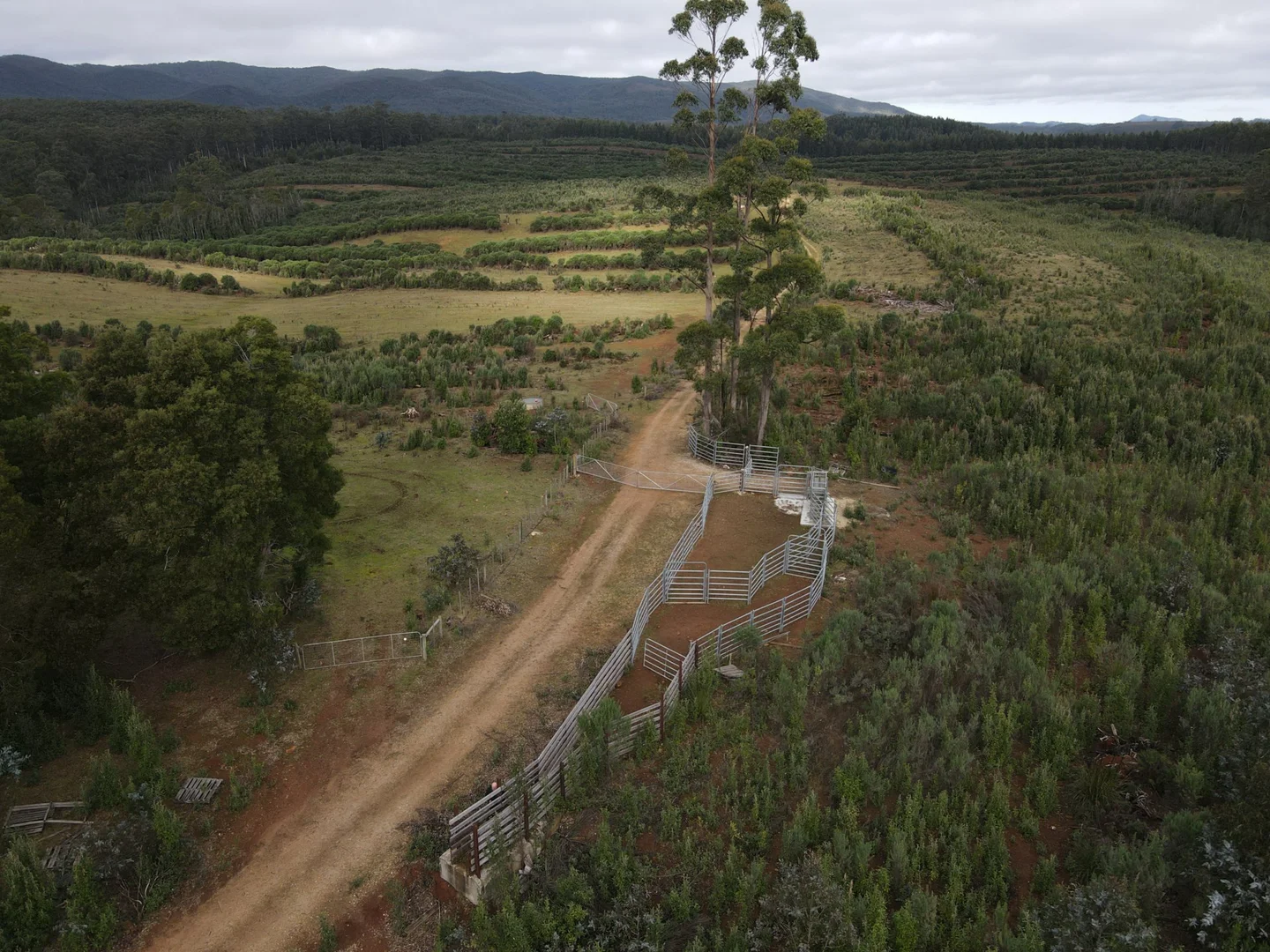 Additional image 11 of 885 Newhaven Road, Mawbanna TAS 7321