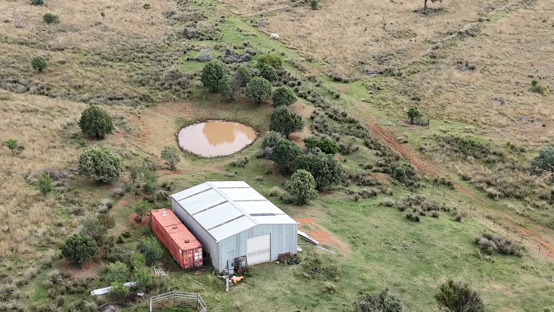 Additional image 4 of The Wilgas Cobbadah Road, Bingara NSW 2404