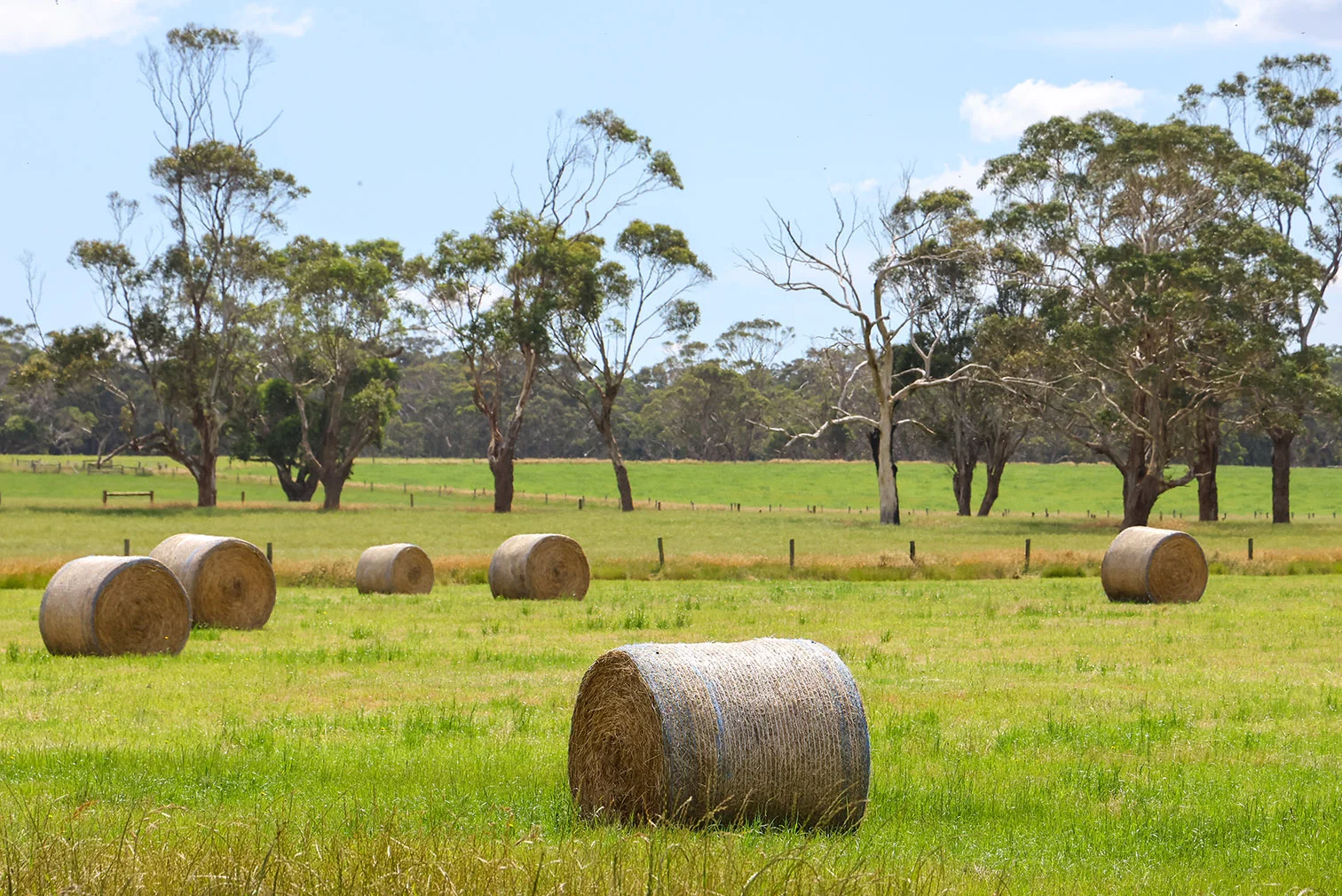 Additional image 7 of 211 Rollos Road, Panmure VIC 3265