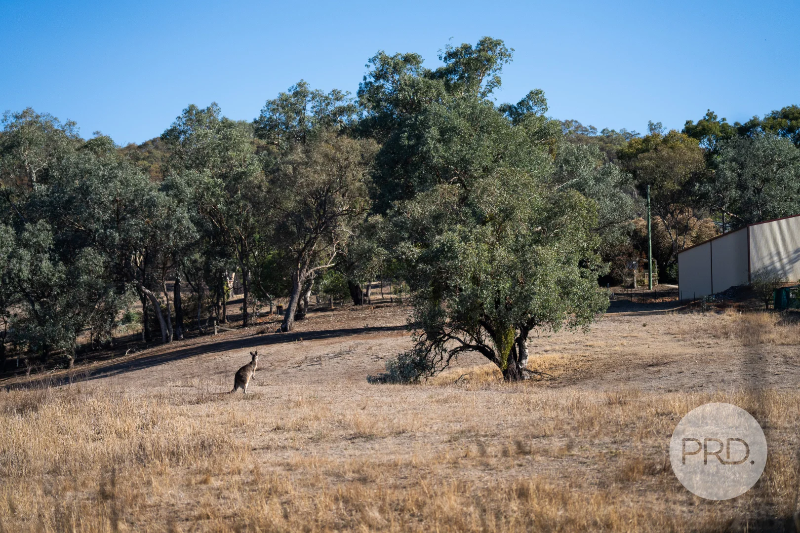 Additional image 5 of 827-841 Centaur Road, Hamilton Valley NSW 2641