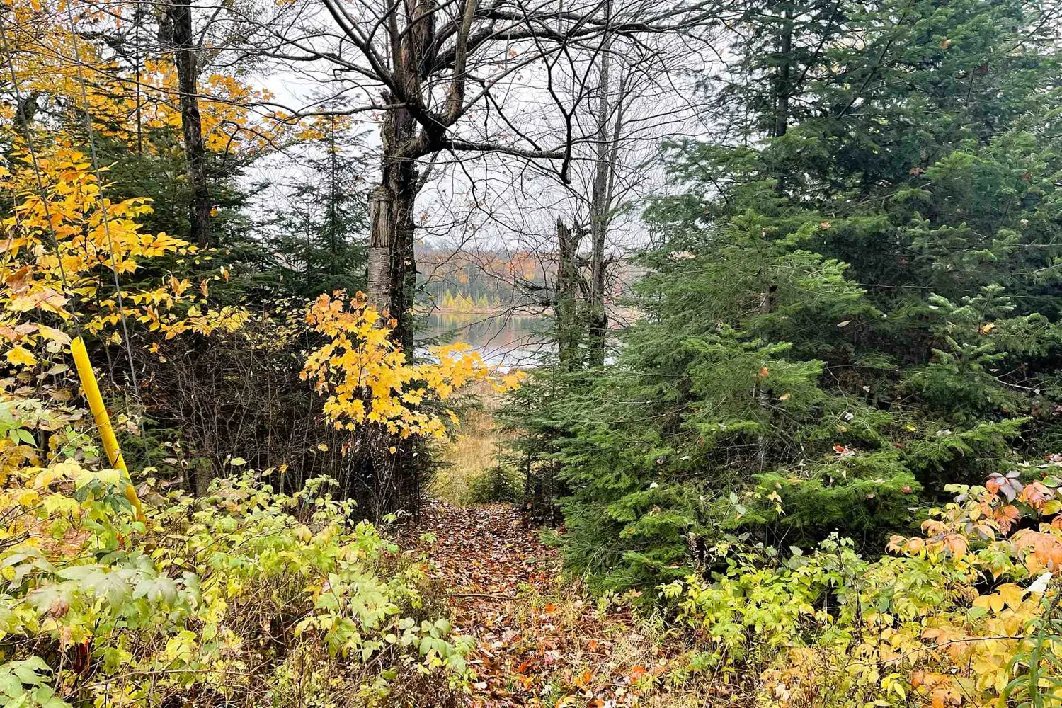 Additional image 13 of 75 Granite Drive