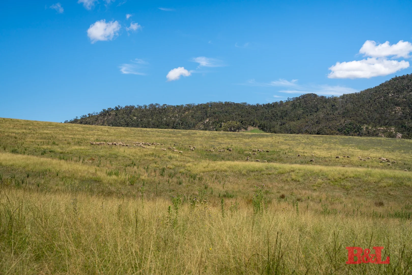 Additional image 3 of Lot 2 & 252 976 Sodwalls Road, Tarana NSW 2787