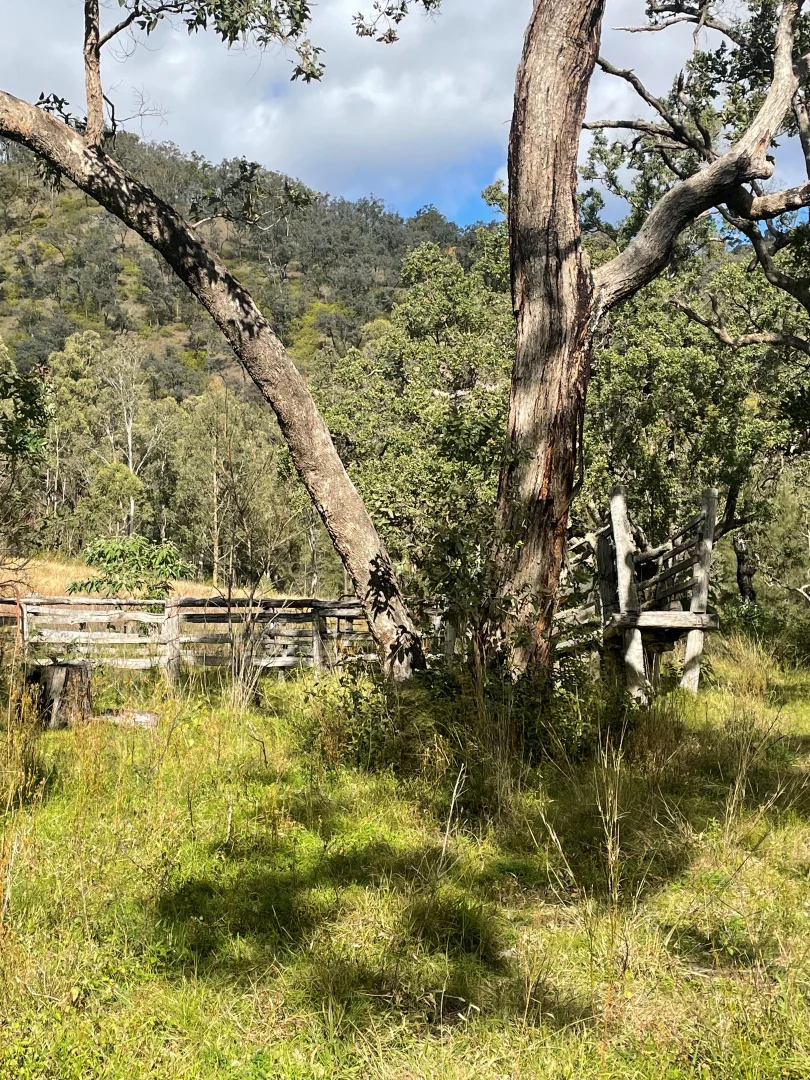 Additional image 13 of Lot 16 Gilgurry, Rivertree NSW 2372