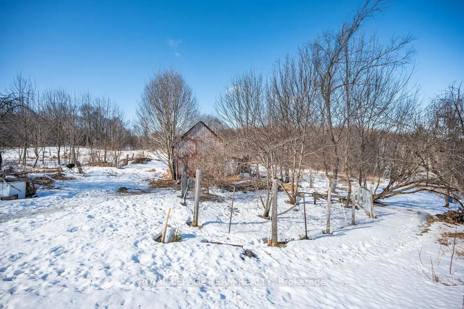 Additional image 2 of 5106 Opeongo Road