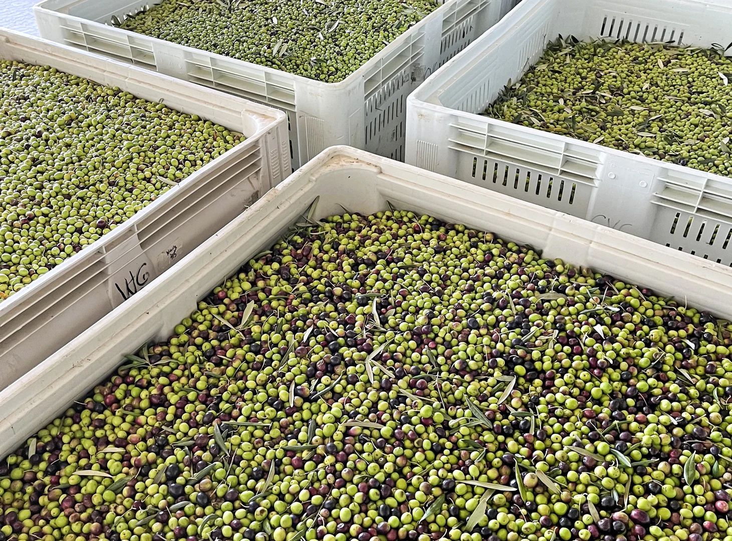 Additional image 19 of 15 Mary Gilmore Road, Wagga Wagga NSW 2650