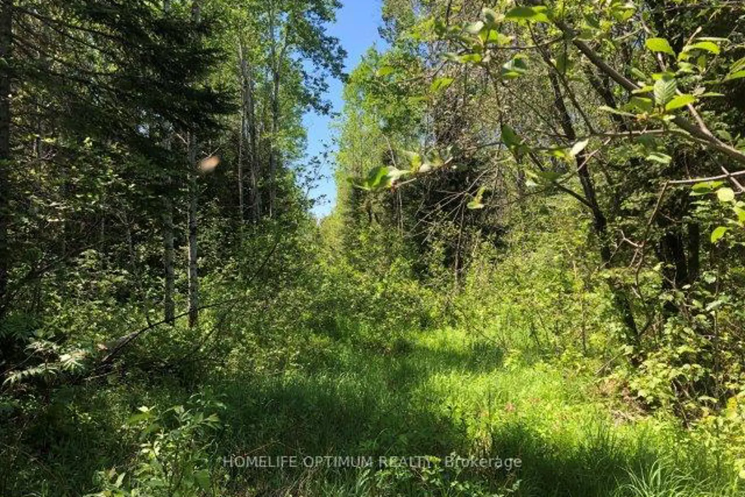 Additional image 6 of 38.24 Acres - Pcl 24640 N/A