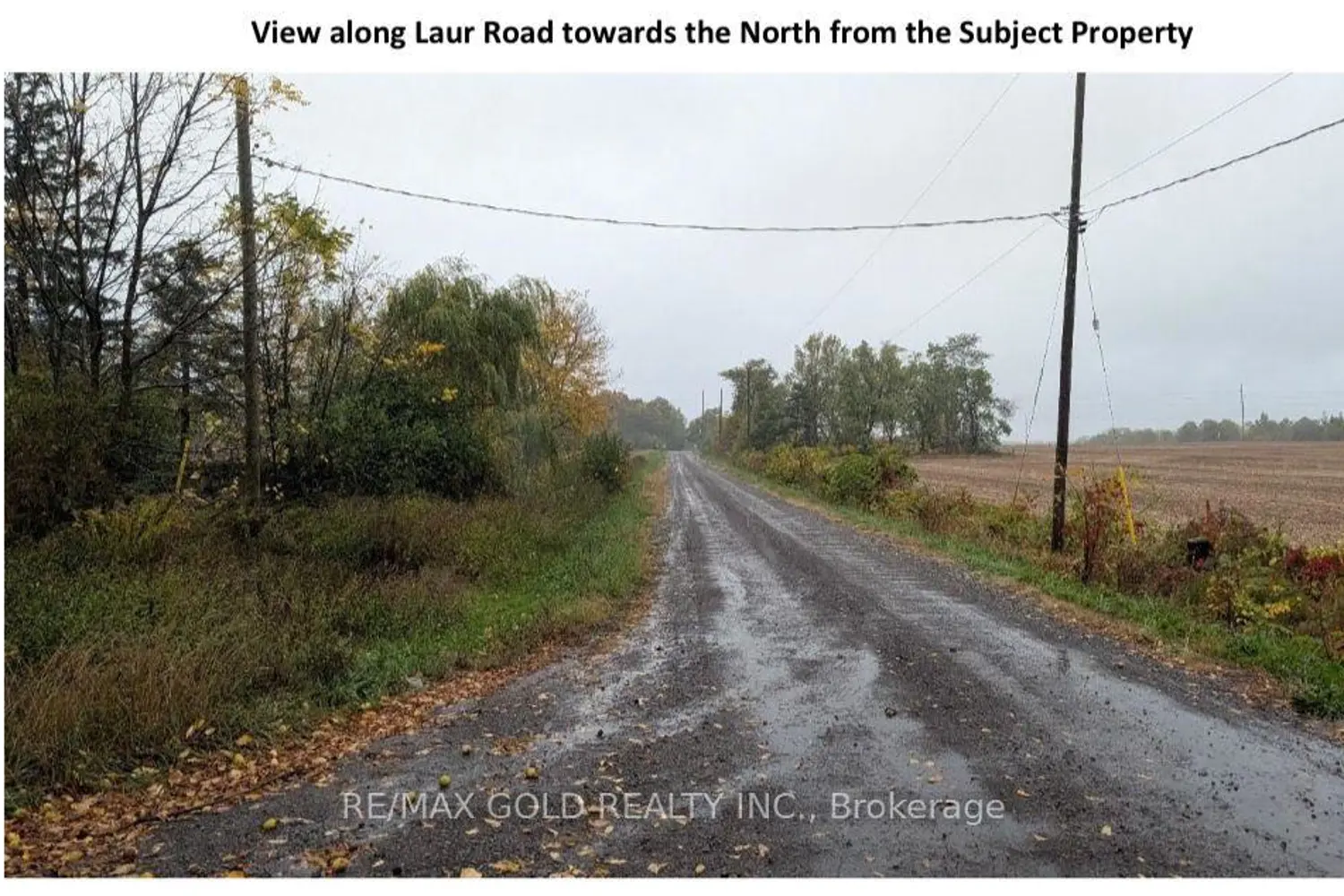 2029 Laur Drive photo 4