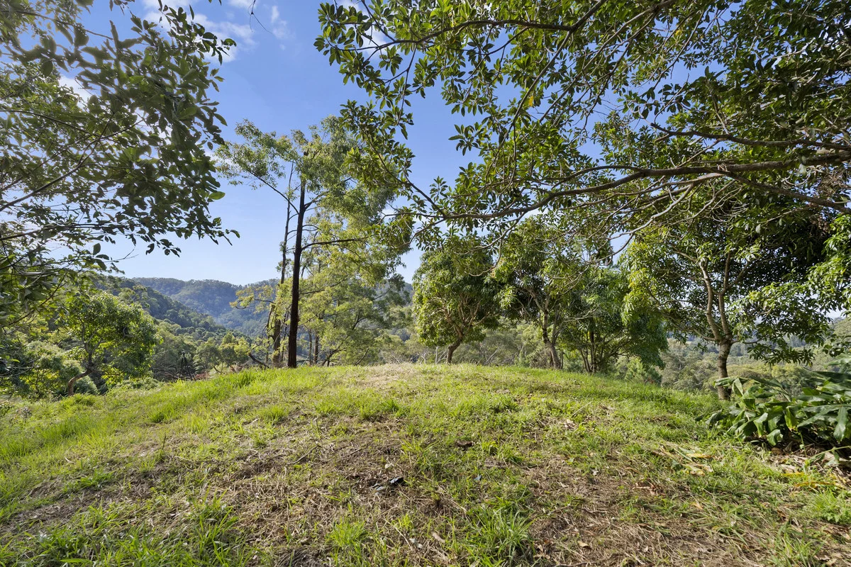 Additional image 8 of 536 Cudgera Creek Road, Cudgera Creek NSW 2484