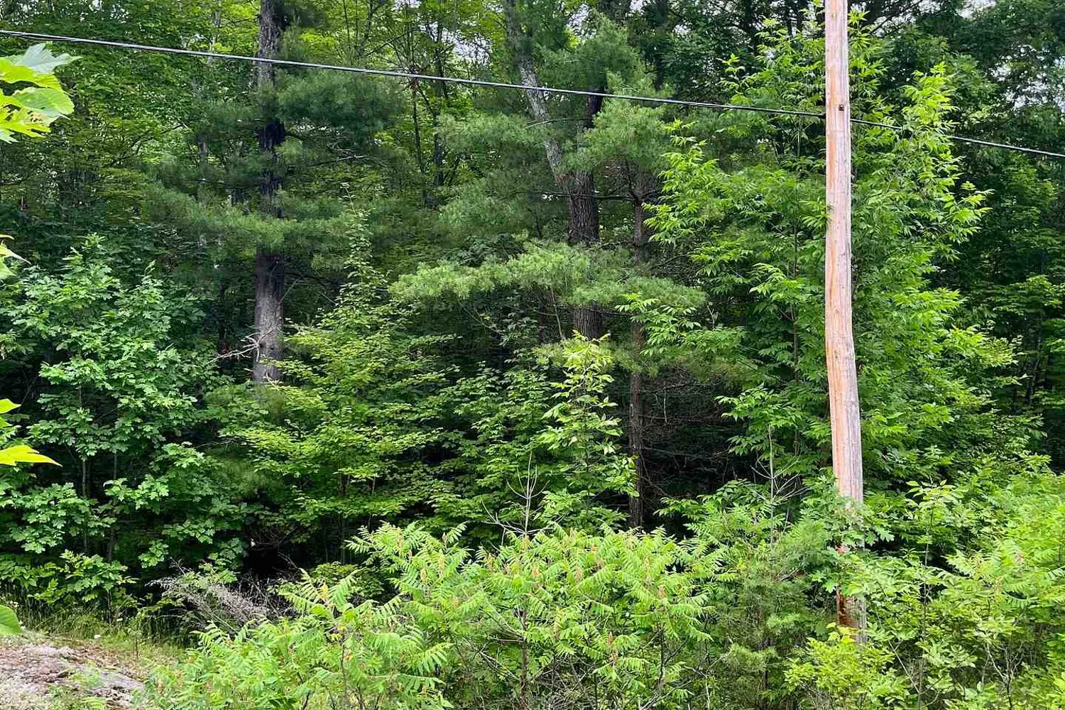 0 (Pin - 40264-0091) Potter Settlement Road