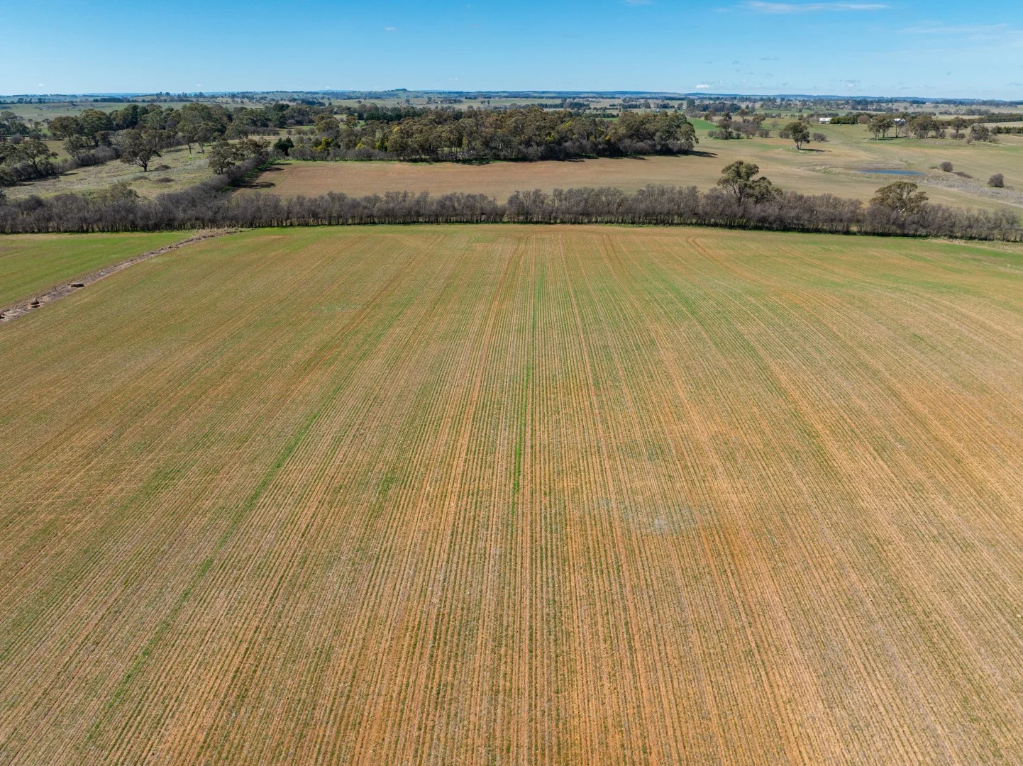 Additional image 19 of 80 Williams Lane, Millthorpe NSW 2798