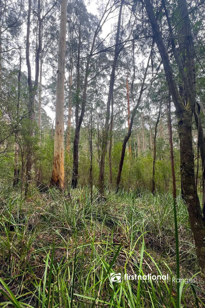 Additional image 13 of 2780 Gembrook-Launching Place Road, Gembrook VIC 3783