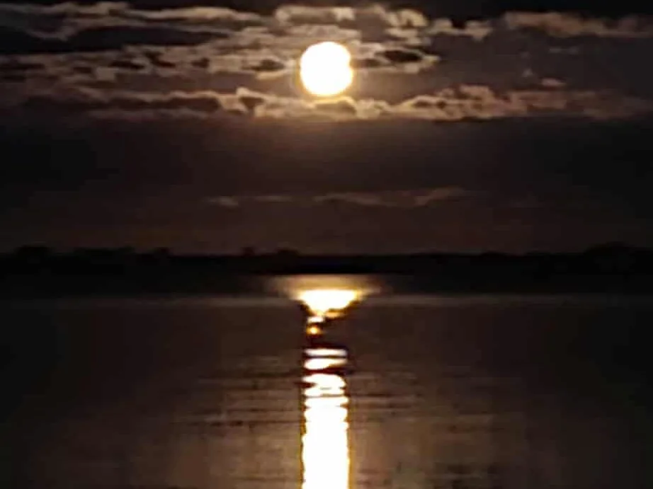 Additional image 21 of 380 Gorton Drive, Mystic Park VIC 3579