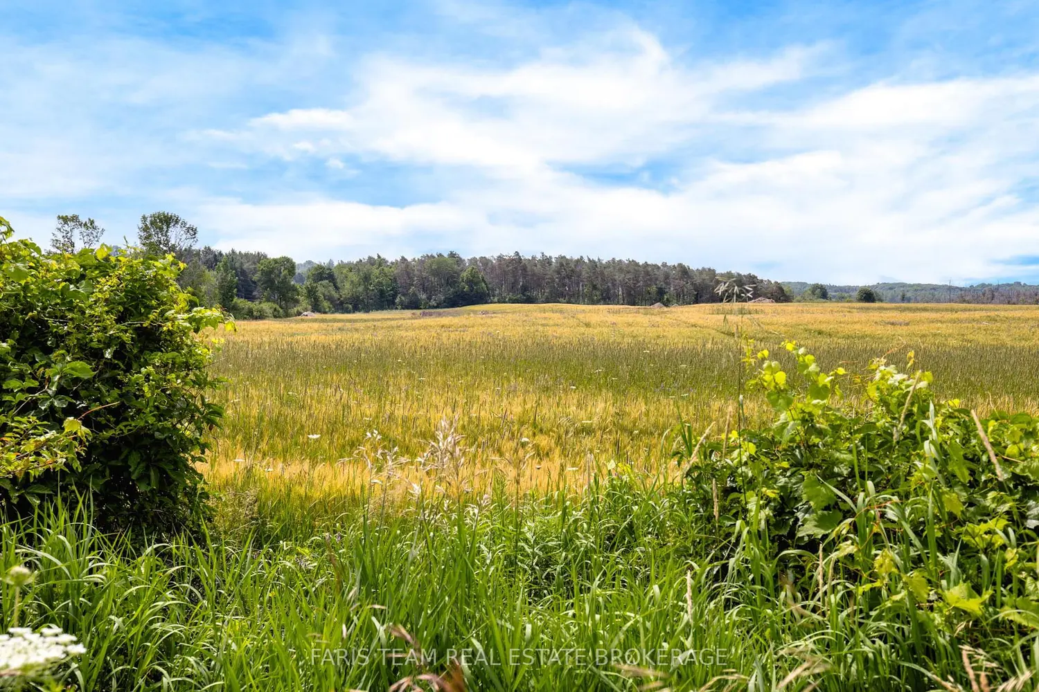 Additional image 5 of 1511 Tay Point Road