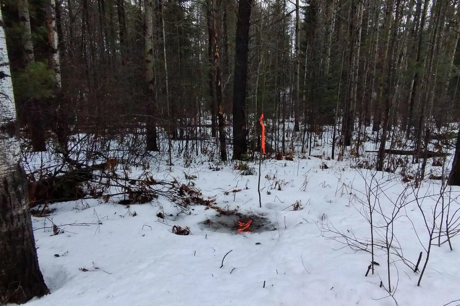 Additional image 2 of Part 13 Girl Guide Road