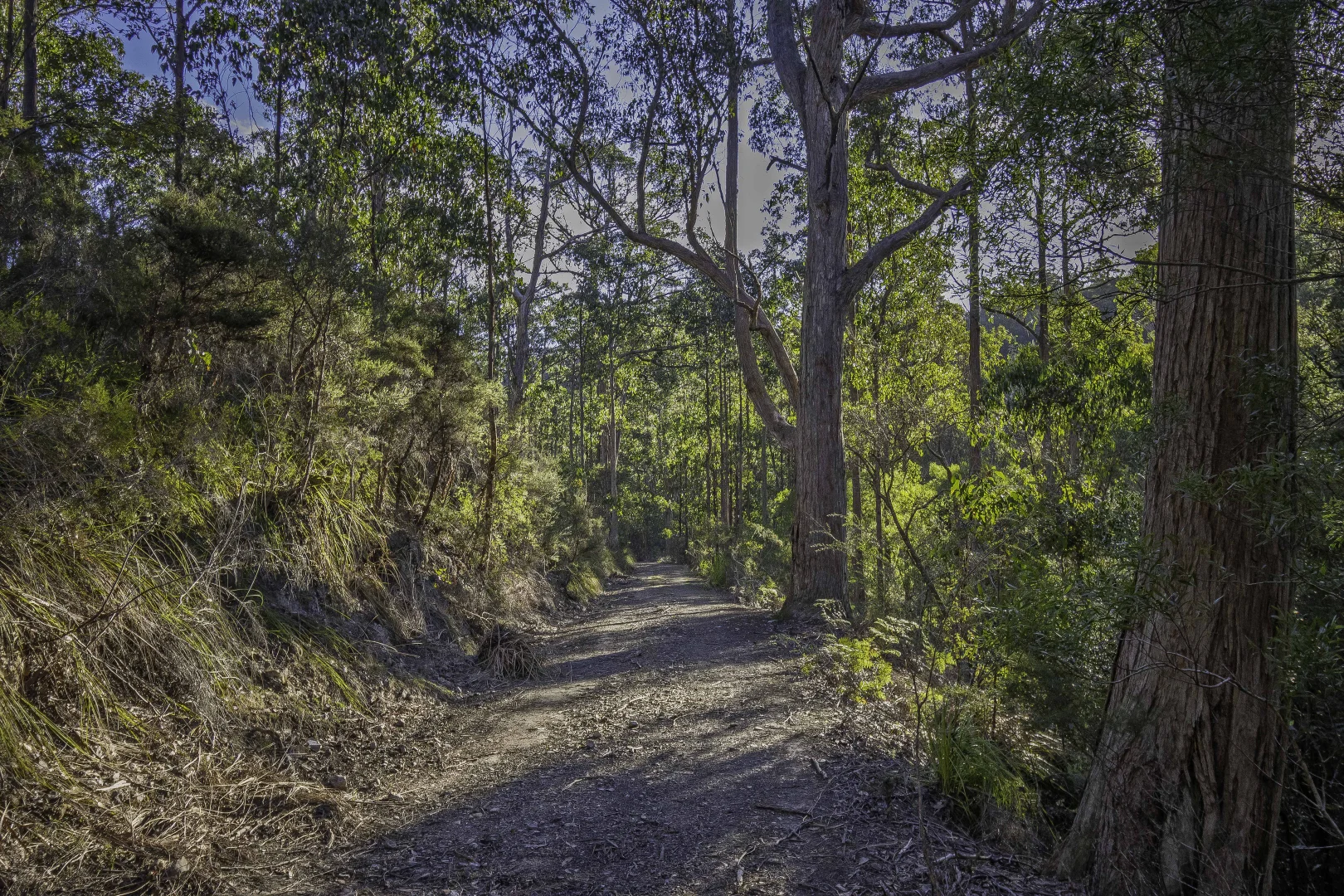 Additional image 20 of Judbury TAS 7109