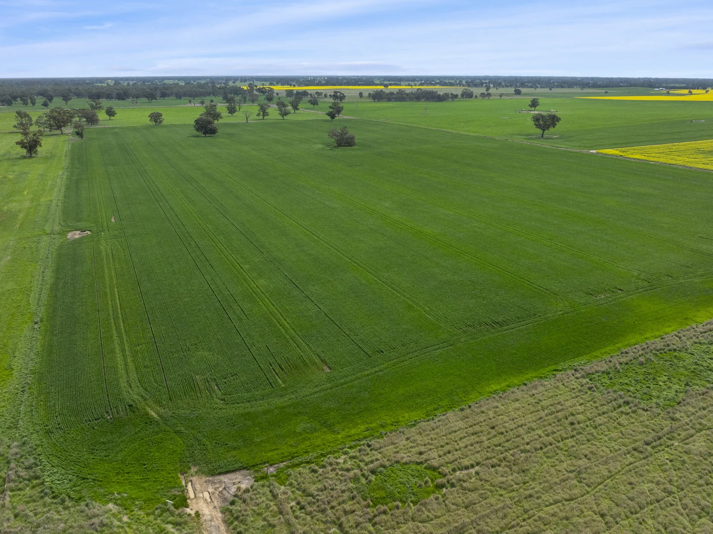 Additional image 11 of 800 Bridge Road, Caniambo VIC 3630