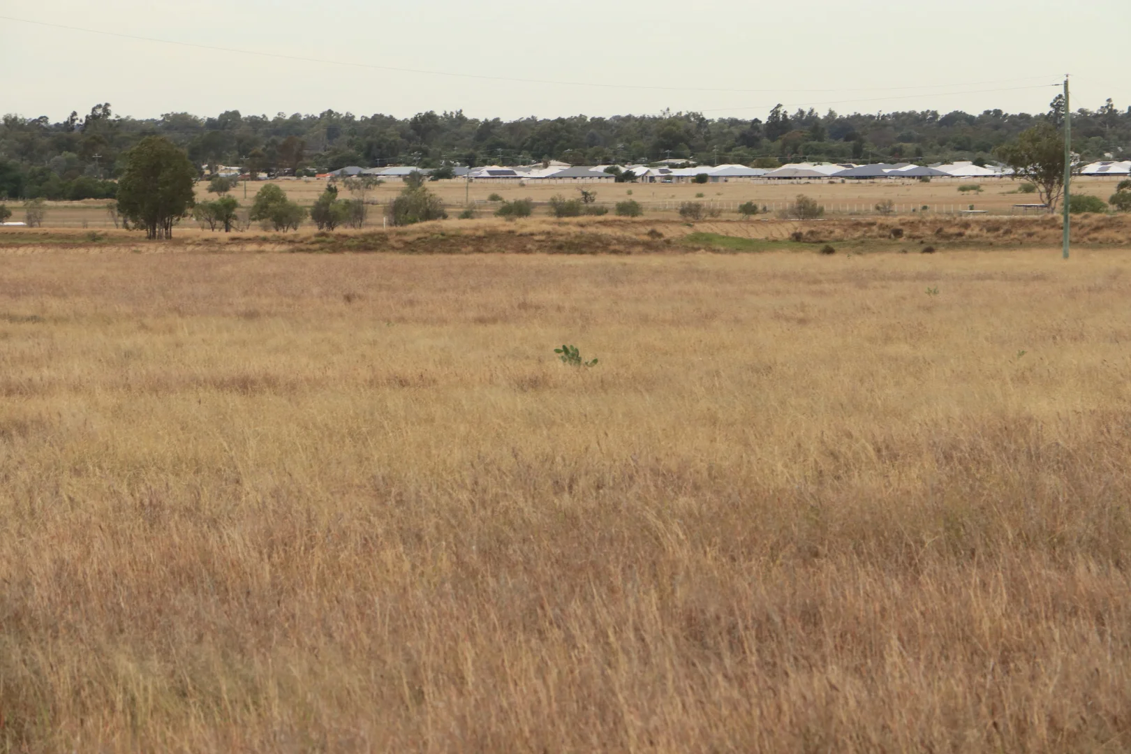 Additional image 9 of Ona Ona Road, Roma QLD 4455