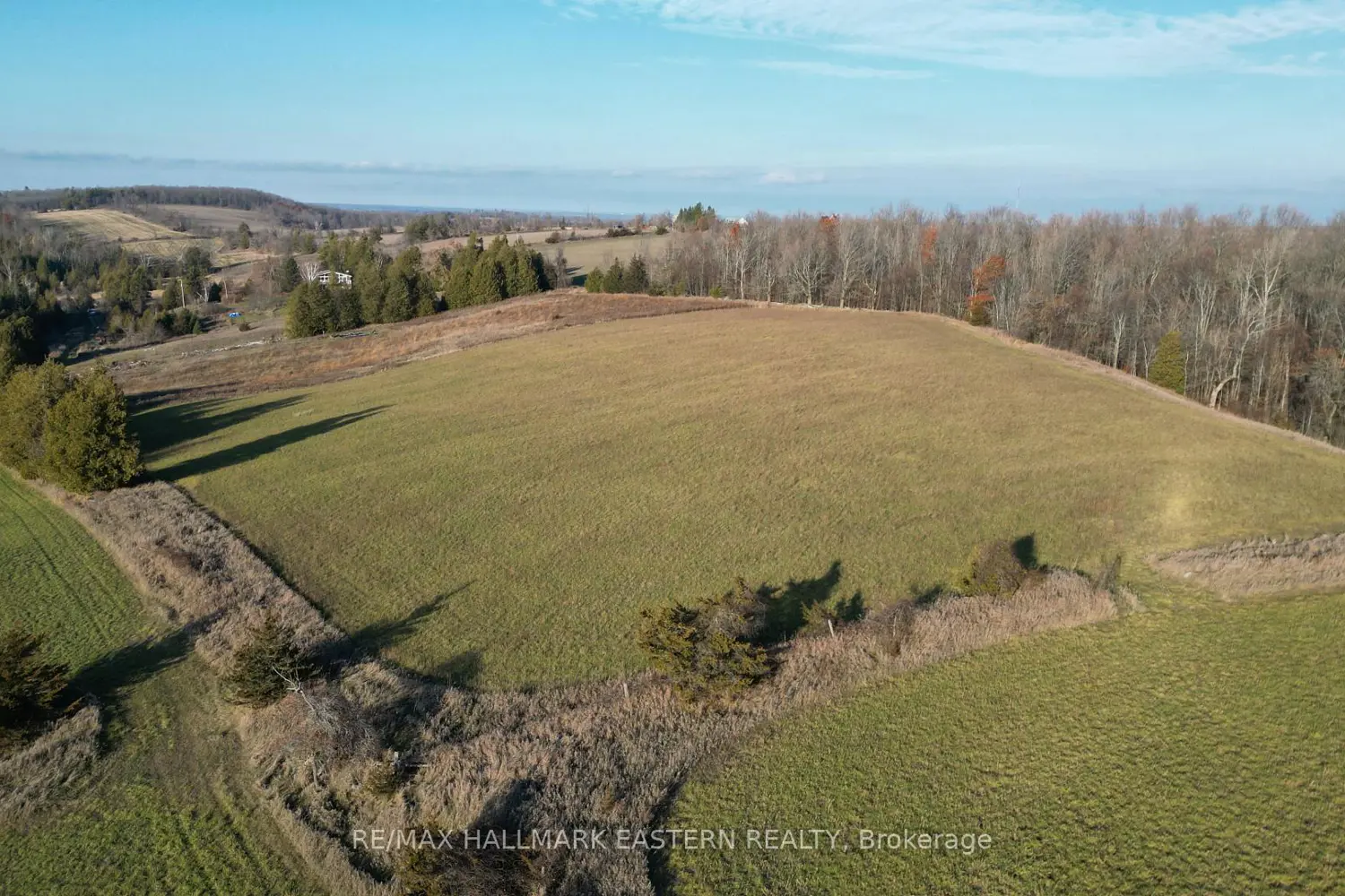 Additional image 16 of 461 Concession 11