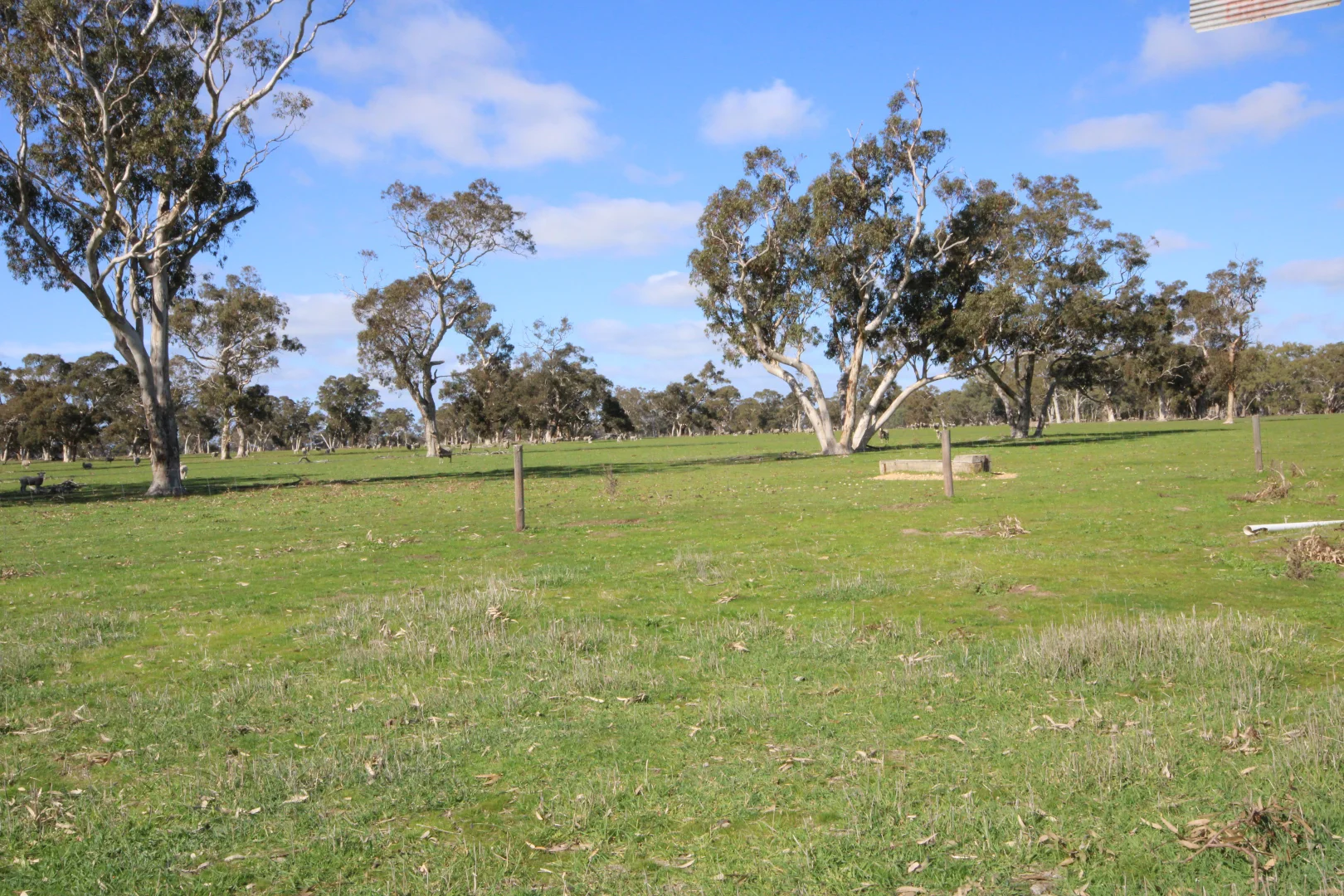 Additional image 22 of 202 Malones Road, Naracoorte SA 5271