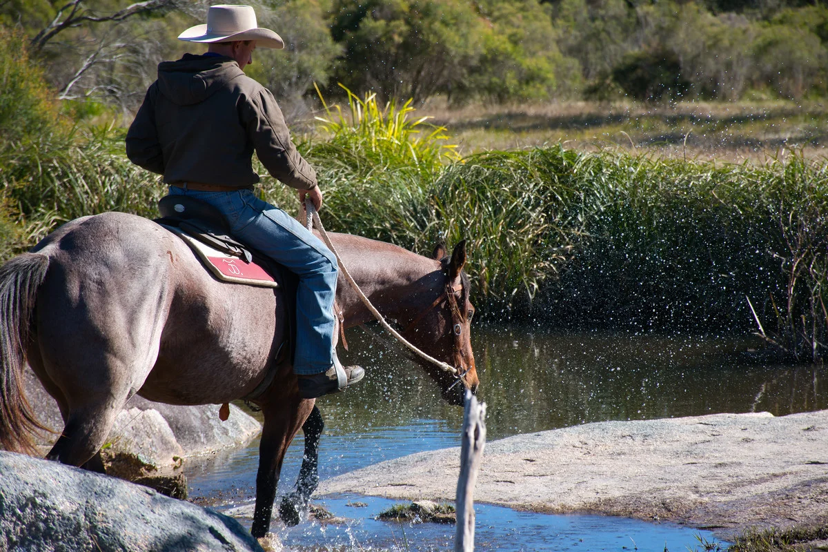 Additional image 2 of Puglisi Road, Dalveen QLD 4374
