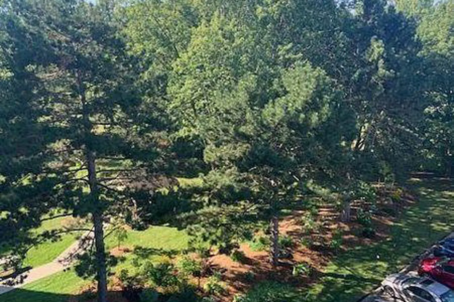 Additional image 6 of 365 Geneva Street 609