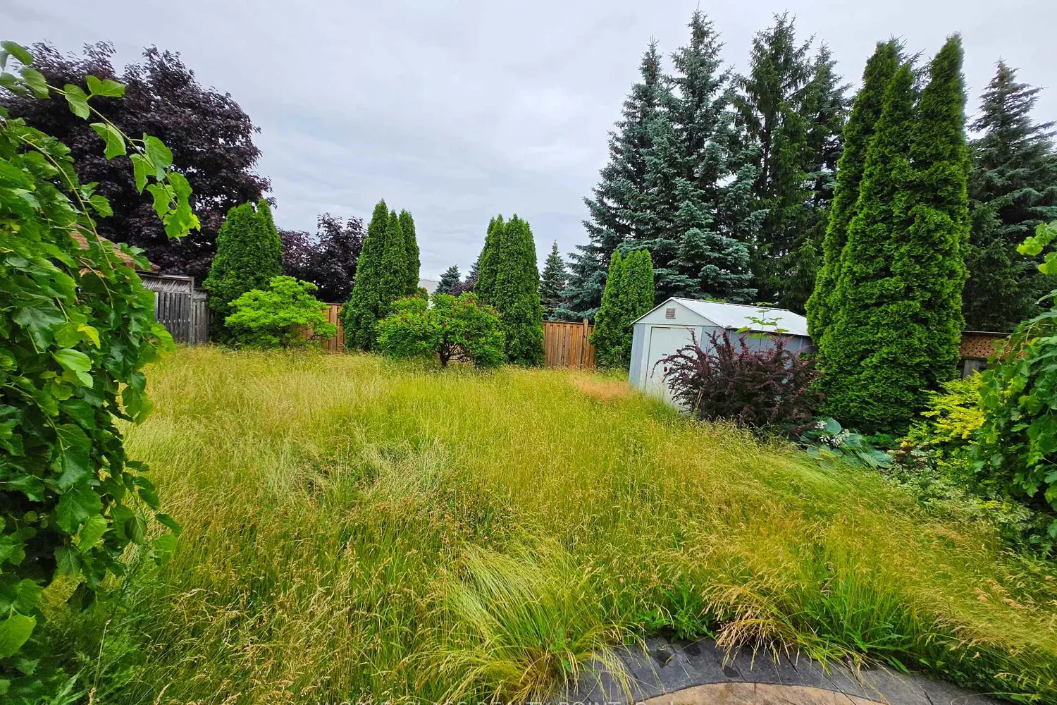 Additional image 19 of 6136 Ford Road