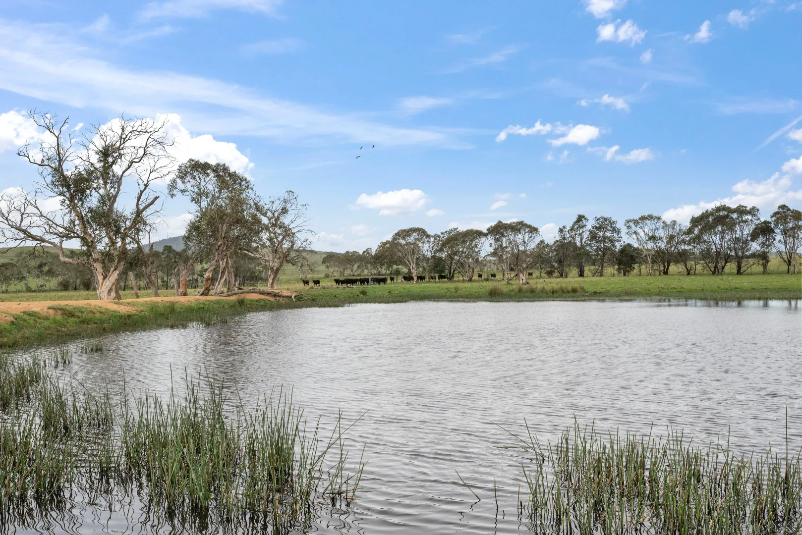 Additional image 16 of 536 Cooma Road, Braidwood NSW 2622