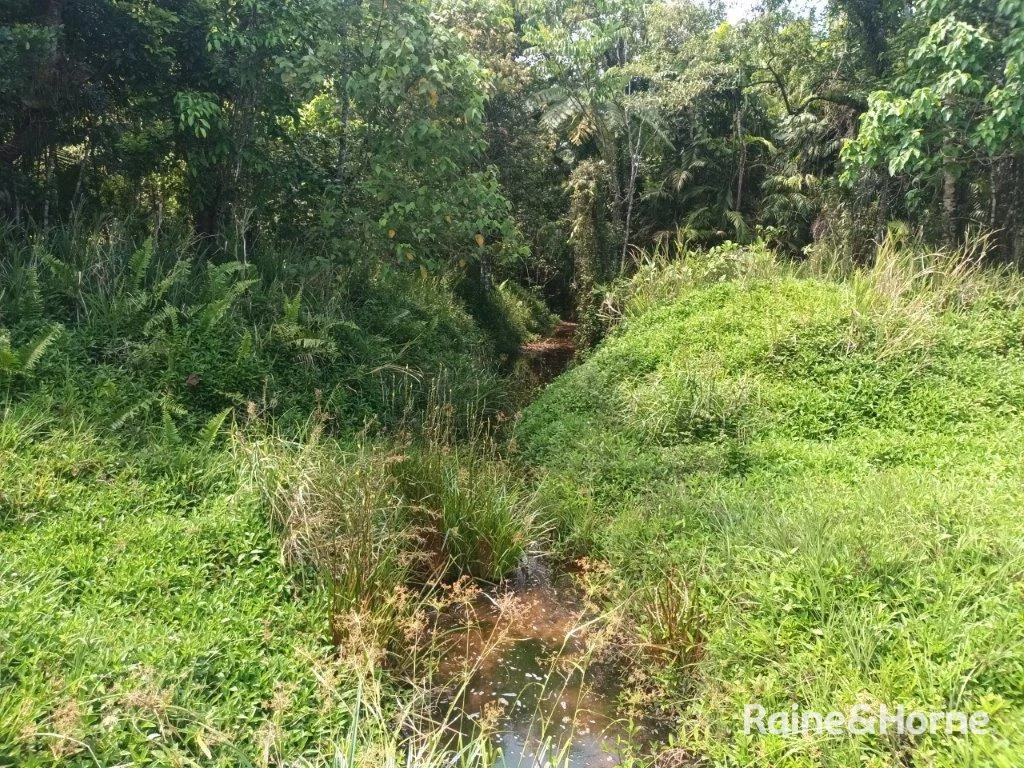 Additional image 18 of Lot 81 Cape Tribulation Road, DIWAN,, Daintree QLD 4873