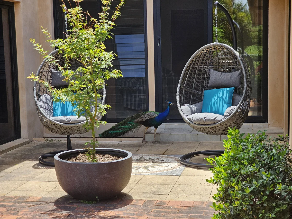 Additional image 17 of 517 Friday Hut Road, Brooklet NSW 2479