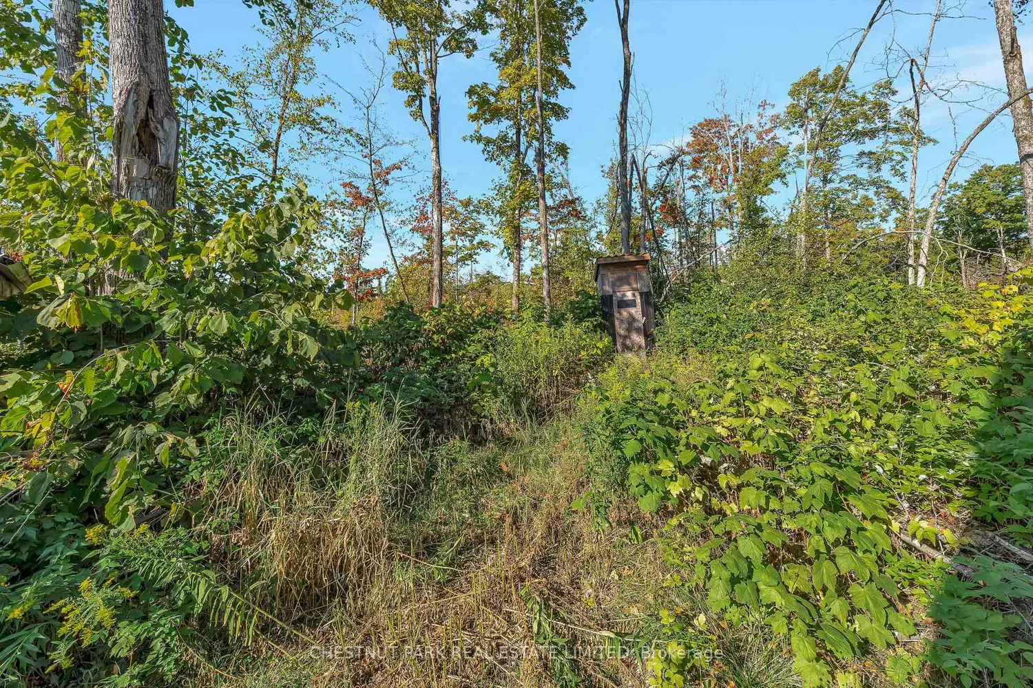 Additional image 13 of 682 Felbers Road