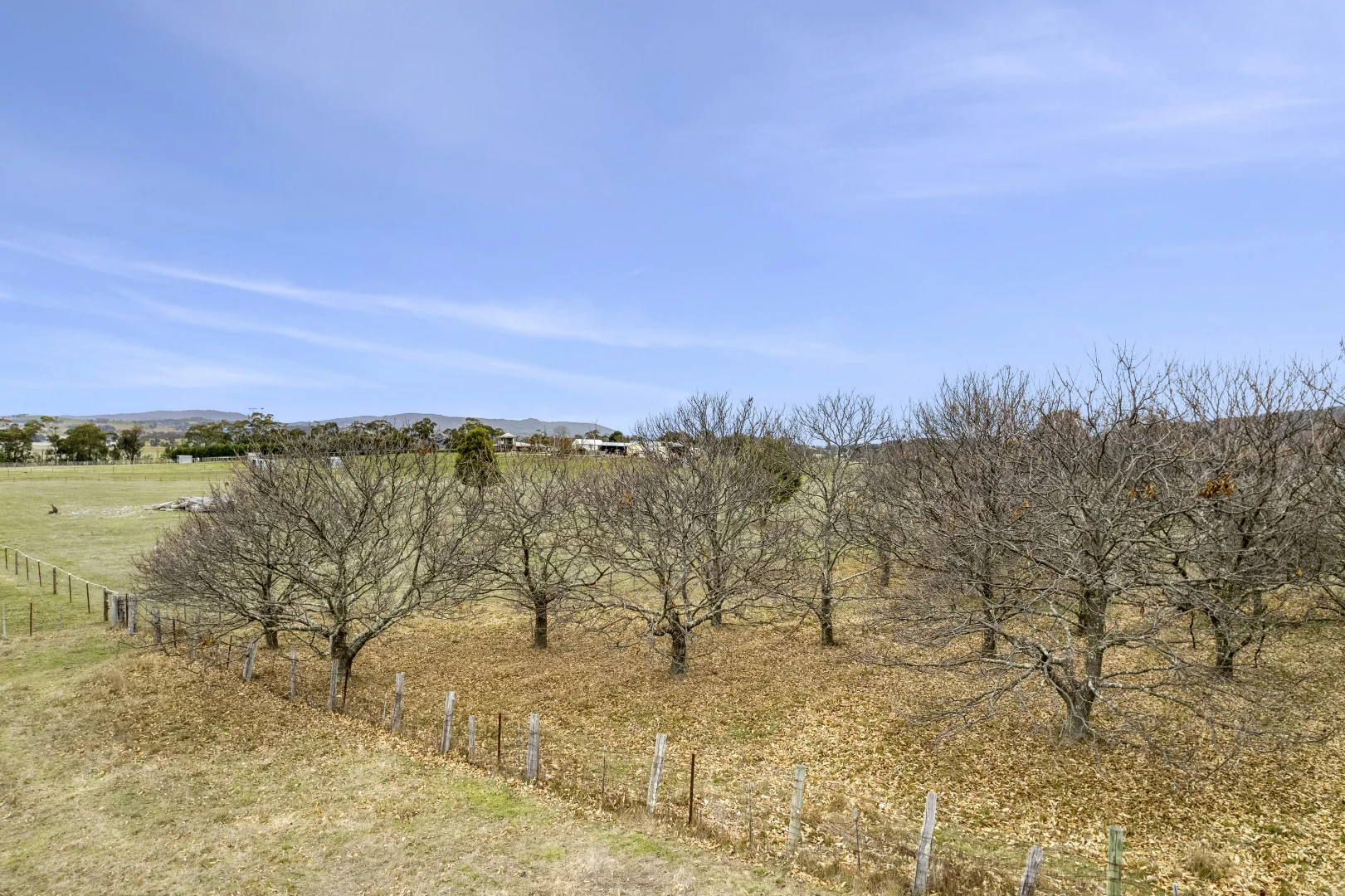 Additional image 7 of 381 Burke and Wills Track, Lancefield VIC 3435